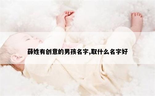 薛姓有创意的男孩名字,取什么名字好